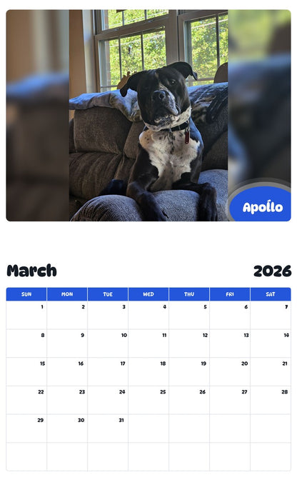November 2025 - October 2026 Apoĺlo - Pawidols Pet Calendar