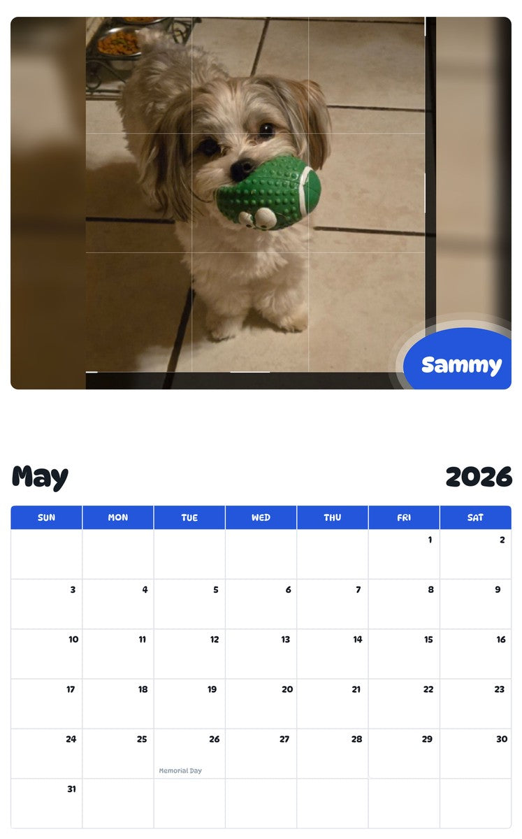 2026 - 2027 Sammy - Pawidols Pet Calendar