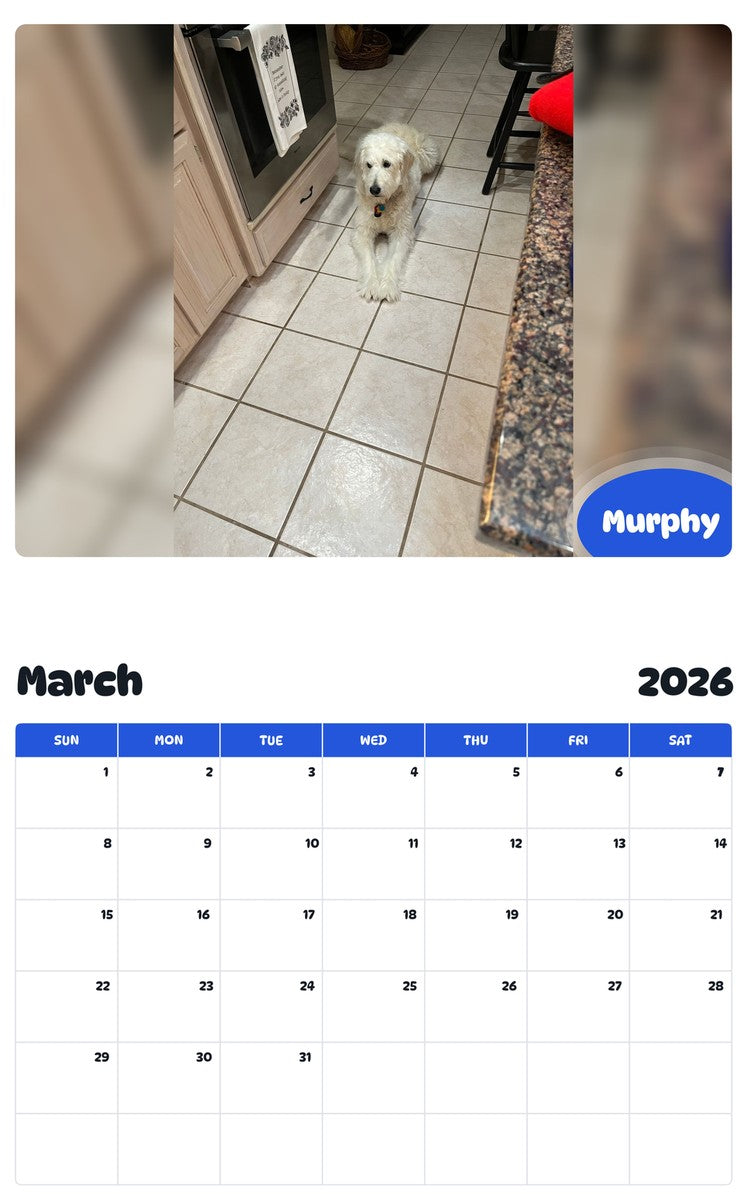 November 2025 - October 2026 Murphy - Pawidols Pet Calendar