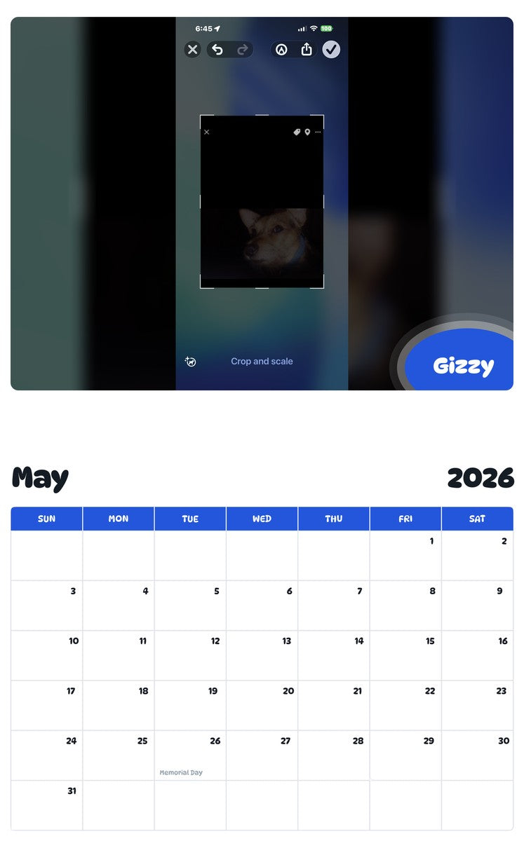 2026 - 2027 Gizzy - Pawidols Pet Calendar