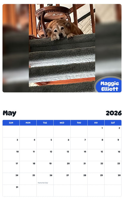 2026 - 2027 Maggie Elliott - Pawidols Pet Calendar