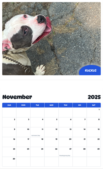 July 2025 - June 2026 Ruckus - Pawidols Pet Calendar