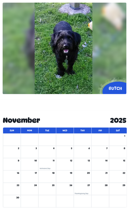 July 2025 - June 2026 Butch - Pawidols Pet Calendar
