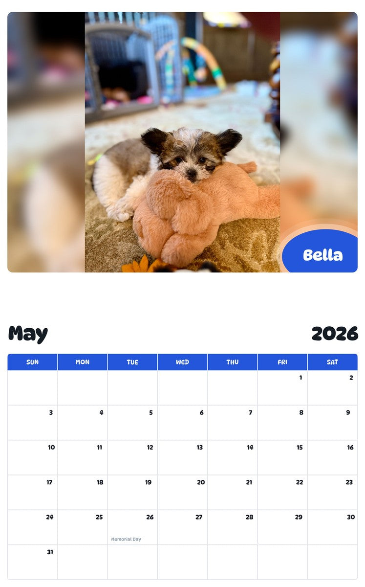 2026 - 2027 Bella - Pawidols Pet Calendar