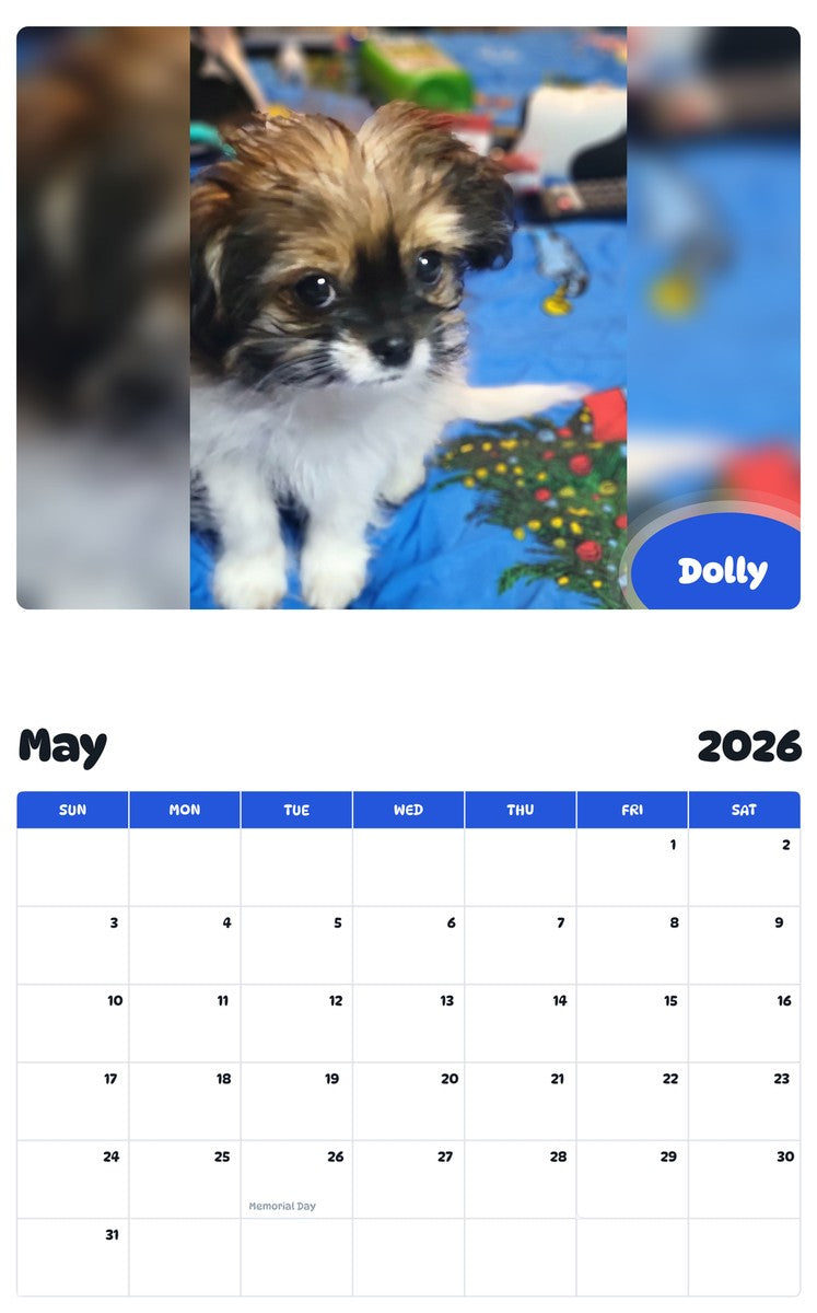 2026 - 2027 Dolly - Pawidols Pet Calendar