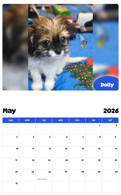 2026 - 2027 Dolly - Pawidols Pet Calendar