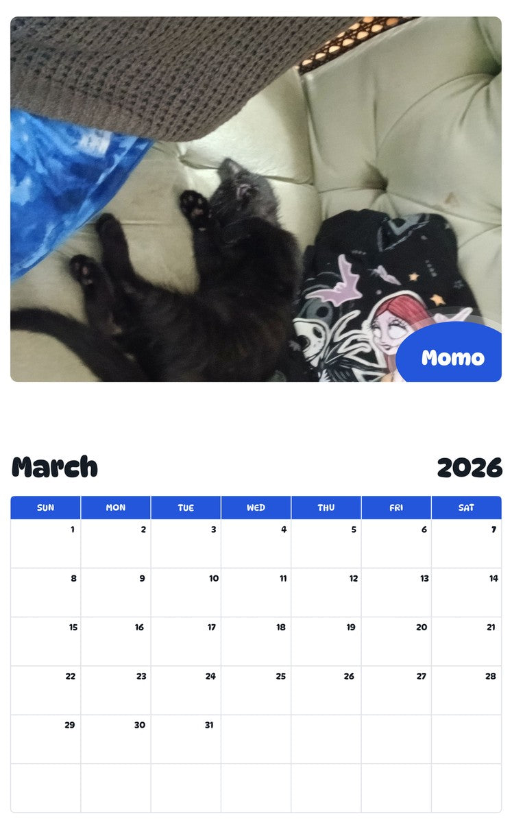 November 2025 - October 2026 Momo - Pawidols Pet Calendar
