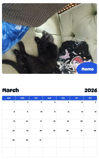 November 2025 - October 2026 Momo - Pawidols Pet Calendar