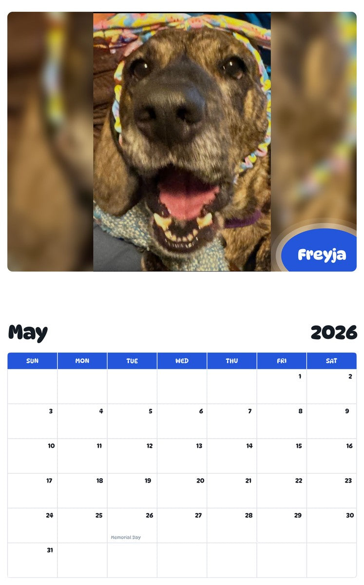 2026 - 2027 Freyja - Pawidols Pet Calendar