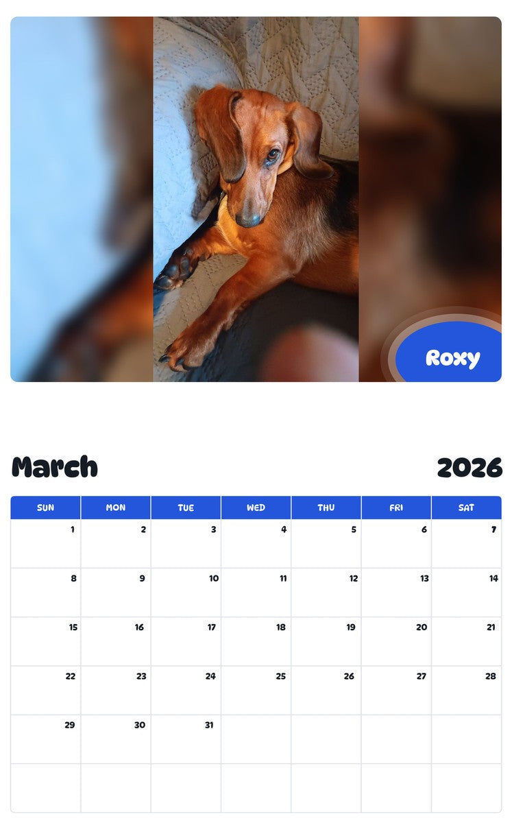November 2025 - October 2026 Roxy - Pawidols Pet Calendar