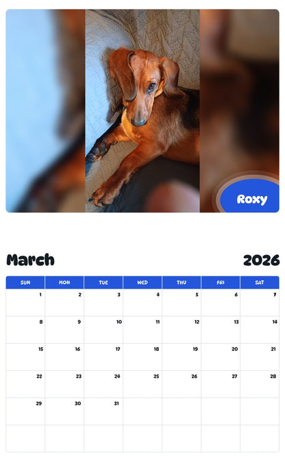 November 2025 - October 2026 Roxy - Pawidols Pet Calendar
