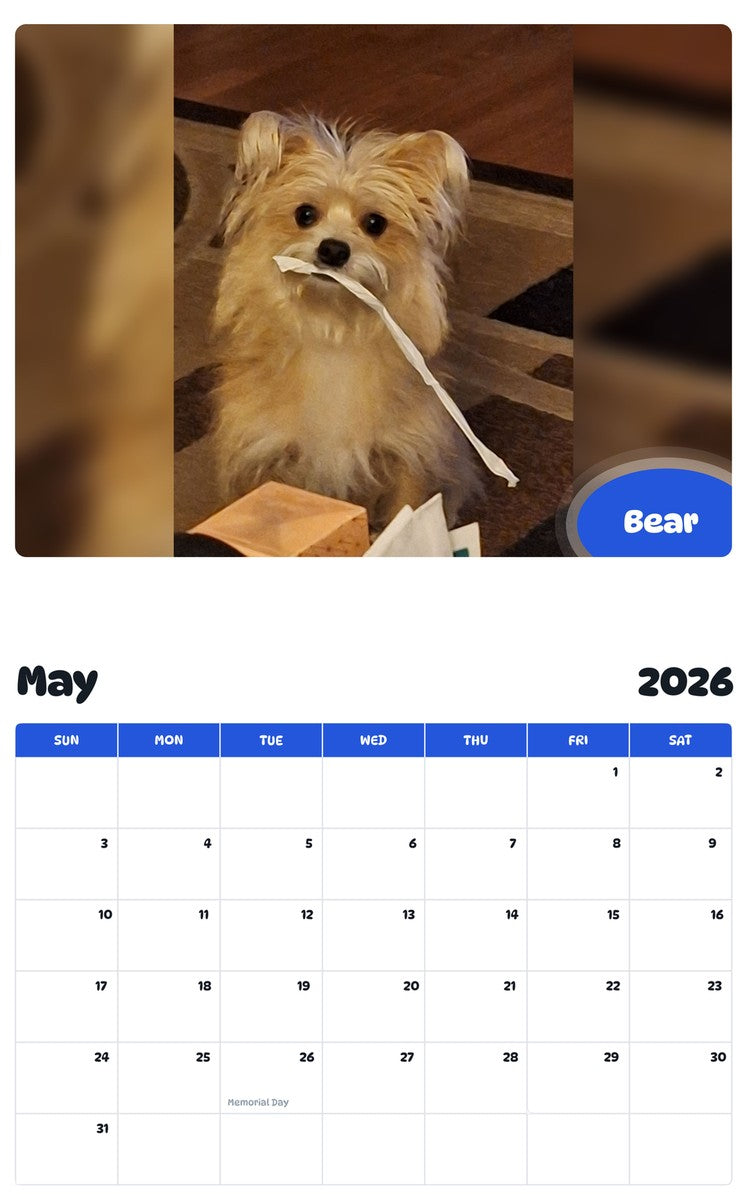 2026 - 2027 Bear - Pawidols Pet Calendar