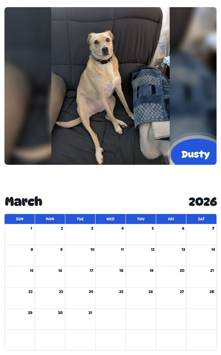 November 2025 - October 2026 Dusty - Pawidols Pet Calendar