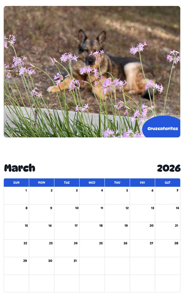 November 2025 - October 2026 Cruzcatcrites - Pawidols Pet Calendar