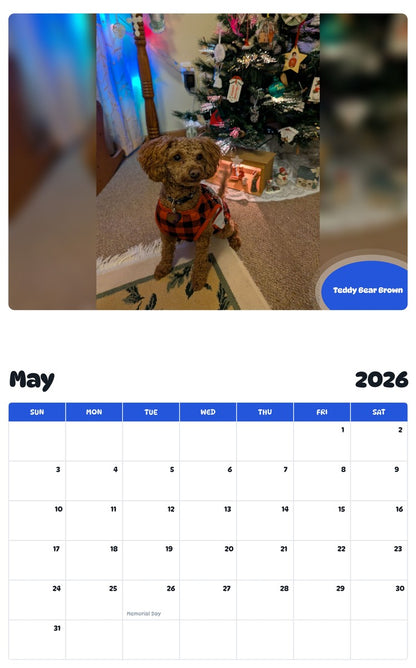 2026 - 2027 Teddy Bear Brown - Pawidols Pet Calendar
