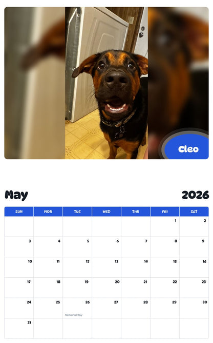 2026 - 2027 Cleo - Pawidols Pet Calendar