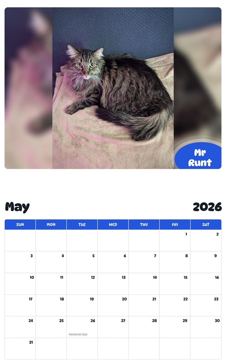 2026 - 2027 Mr Runt - Pawidols Pet Calendar