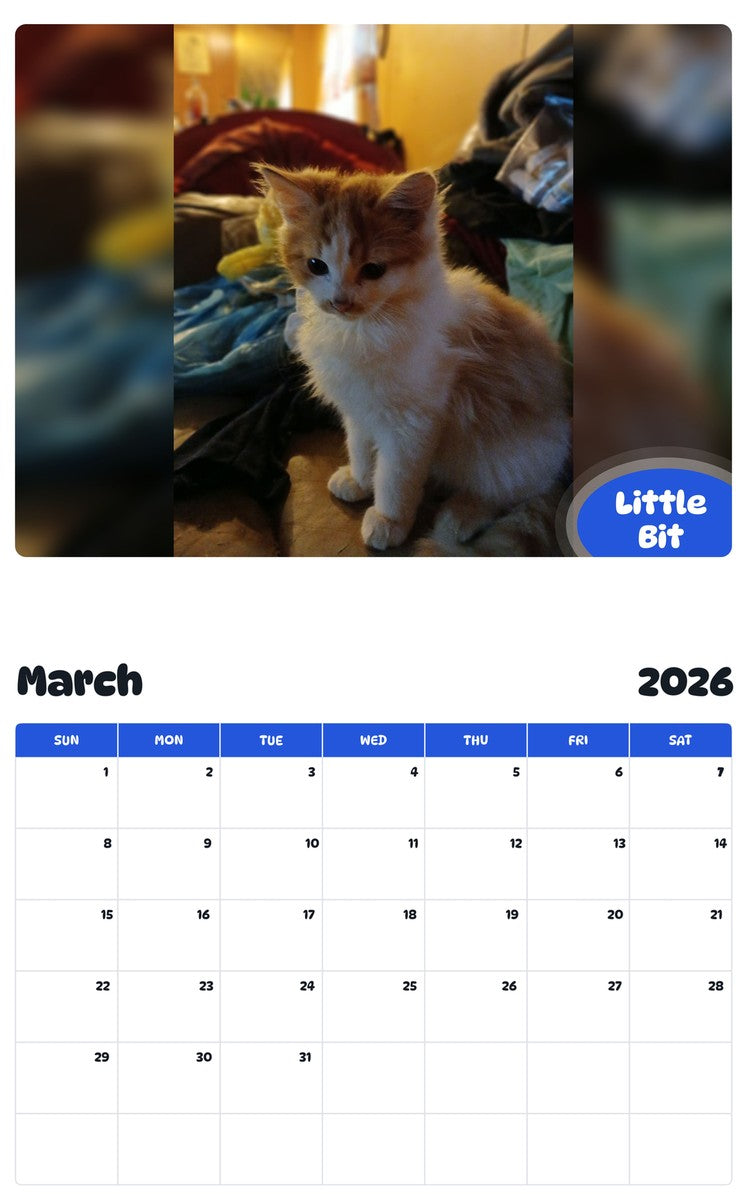November 2025 - October 2026 Little Bit - Pawidols Pet Calendar
