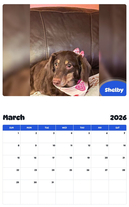 November 2025 - October 2026 Shelby - Pawidols Pet Calendar