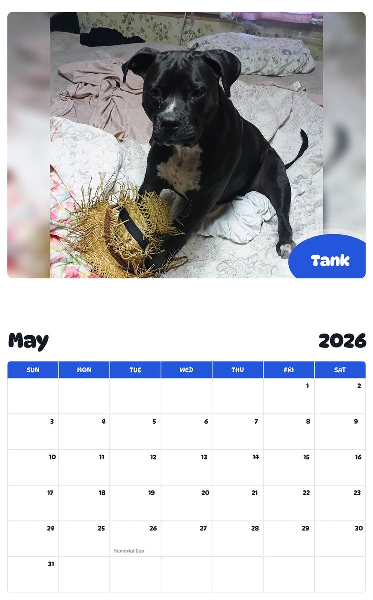 2026 - 2027 Tank - Pawidols Pet Calendar