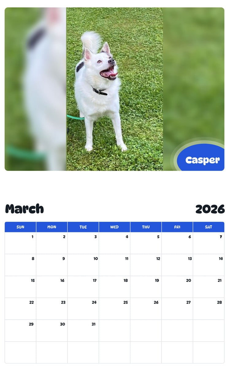 November 2025 - October 2026 Casper - Pawidols Pet Calendar