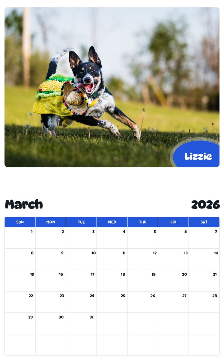 November 2025 - October 2026 Lizzie - Pawidols Pet Calendar