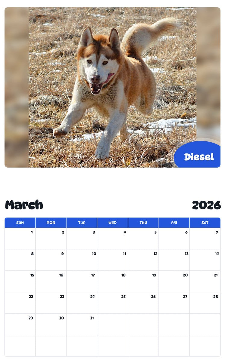 November 2025 - October 2026 Diesel - Pawidols Pet Calendar