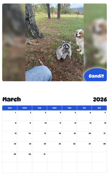 November 2025 - October 2026 Bandit - Pawidols Pet Calendar