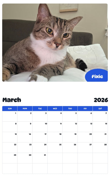 November 2025 - October 2026 Pixie - Pawidols Pet Calendar