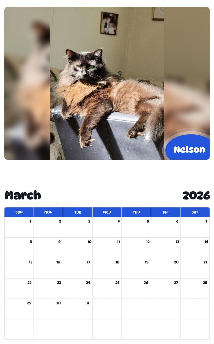 November 2025 - October 2026 Nelson - Pawidols Pet Calendar
