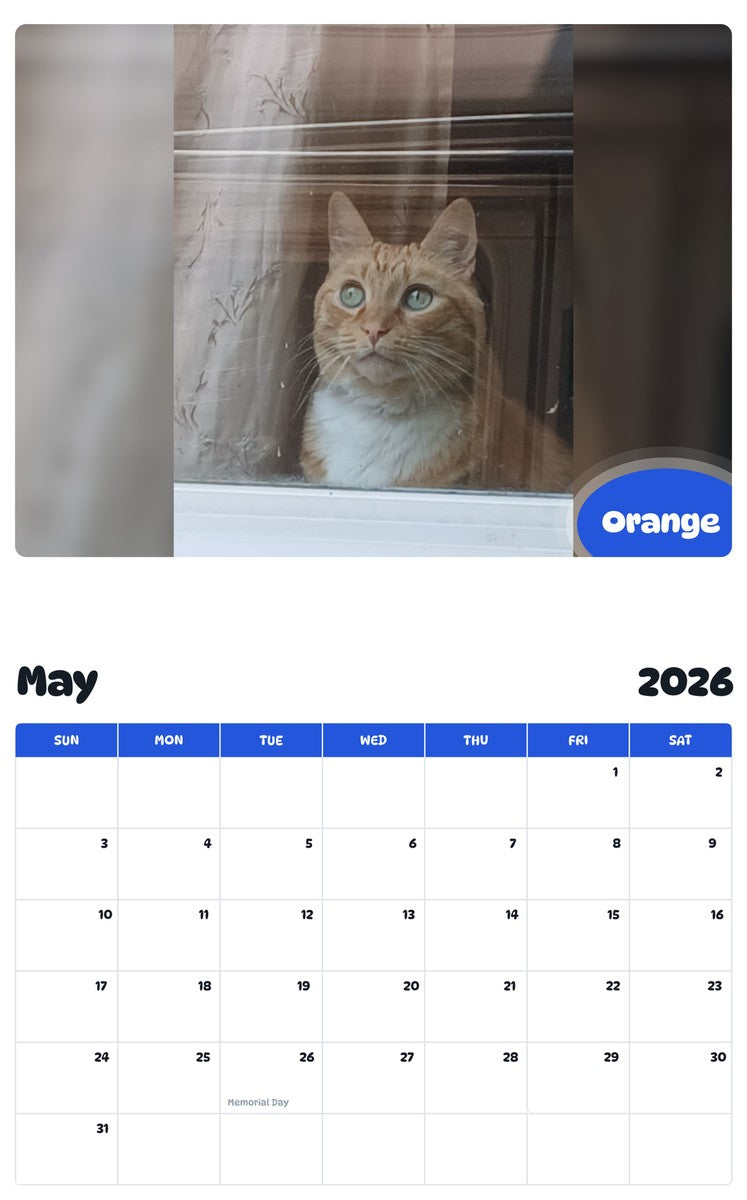 2026 - 2027 Orange - Pawidols Pet Calendar