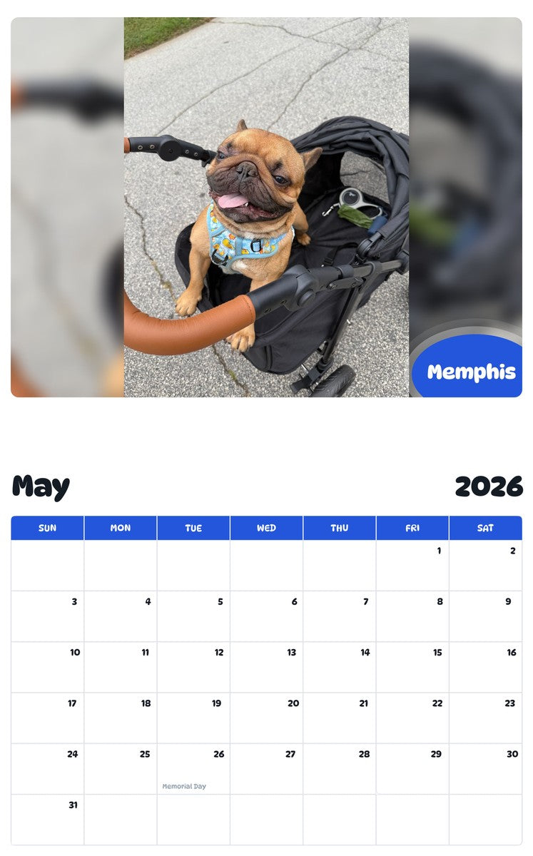 2026 - 2027 Memphis - Pawidols Pet Calendar