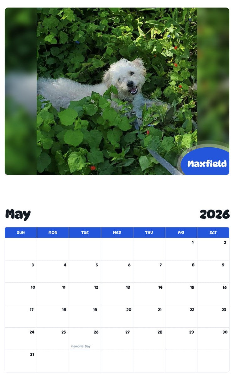 2026 - 2027 Maxfield - Pawidols Pet Calendar