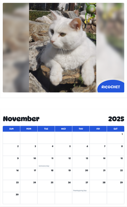 July 2025 - June 2026 Ricochet - Pawidols Pet Calendar