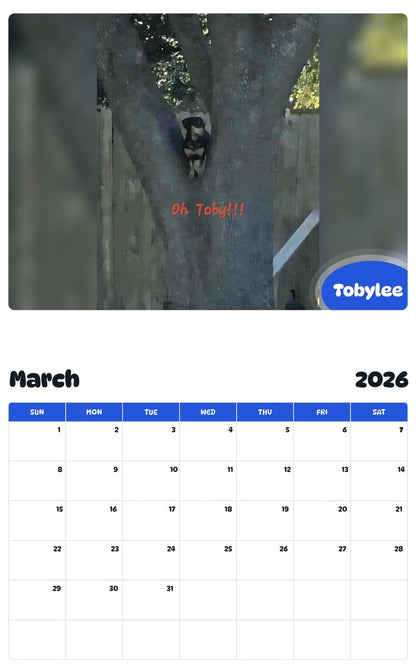 November 2025 - October 2026 Tobylee - Pawidols Pet Calendar