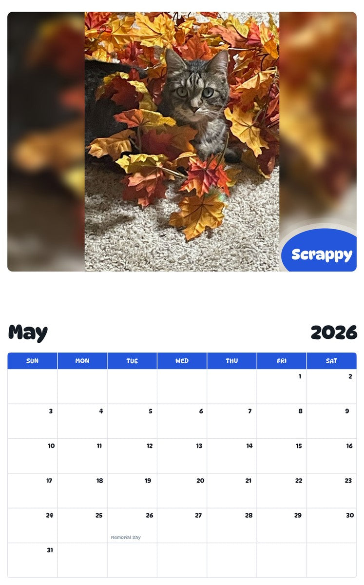 2026 - 2027 Scrappy - Pawidols Pet Calendar