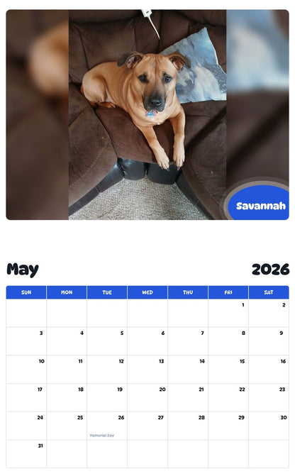 2026 - 2027 Savannah - Pawidols Pet Calendar