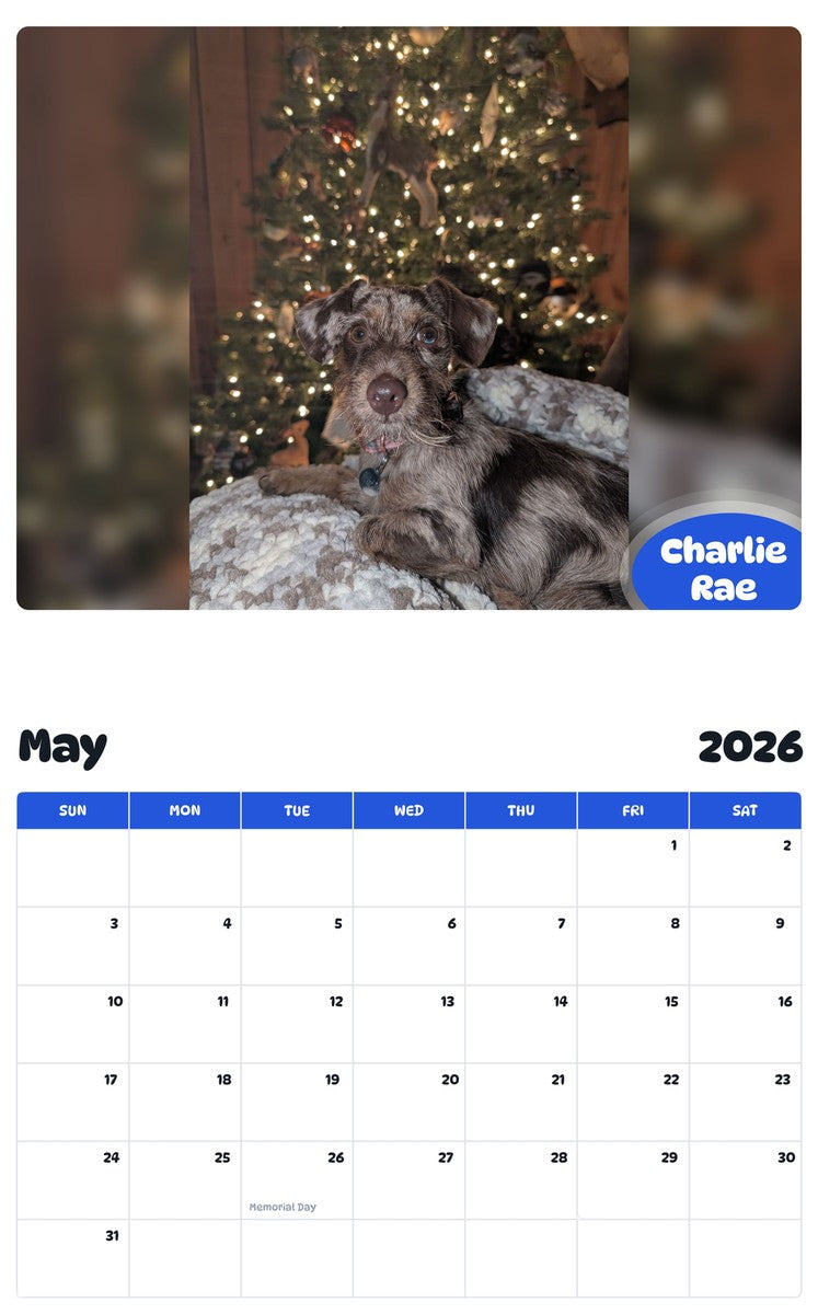 2026 - 2027 Charlie Rae - Pawidols Pet Calendar