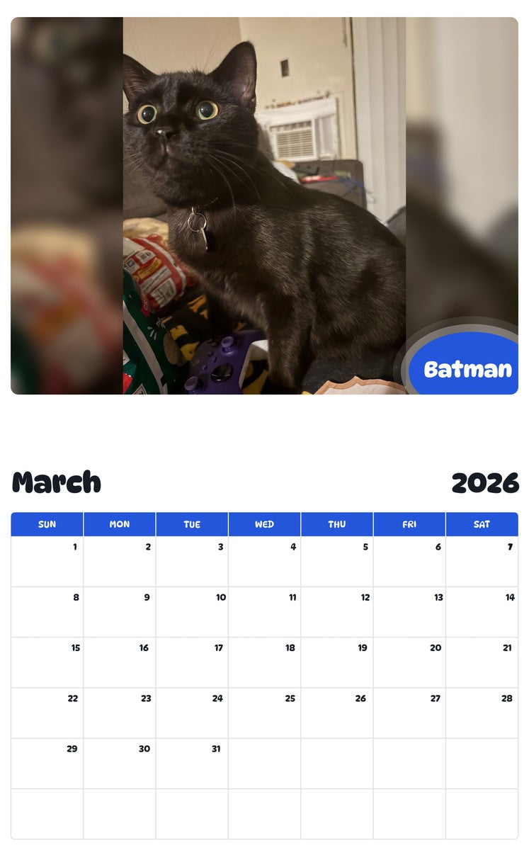 November 2025 - October 2026 Batman - Pawidols Pet Calendar