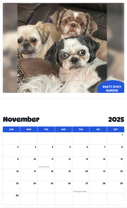 July 2025 - June 2026 Rhett Spicy Xander - Pawidols Pet Calendar