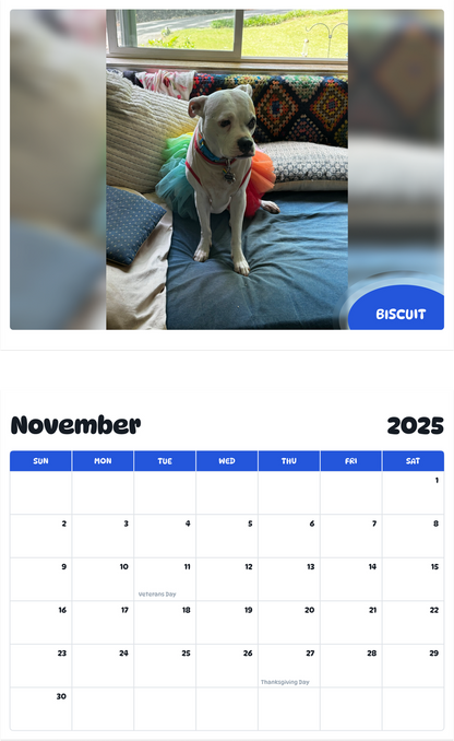 July 2025 - June 2026 Biscuit - Pawidols Pet Calendar