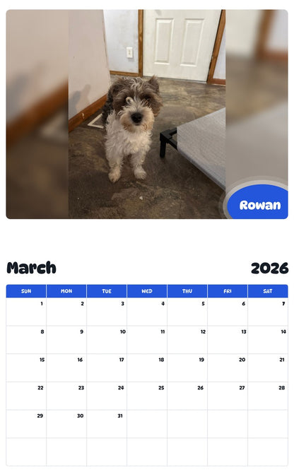November 2025 - October 2026 Rowan - Pawidols Pet Calendar