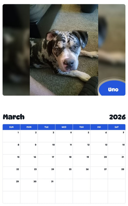 November 2025 - October 2026 Uno - Pawidols Pet Calendar