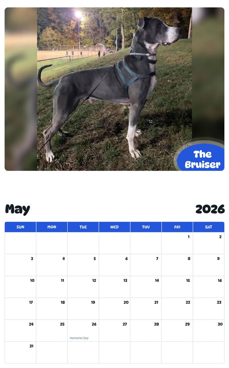 2026 - 2027 The Bruiser - Pawidols Pet Calendar