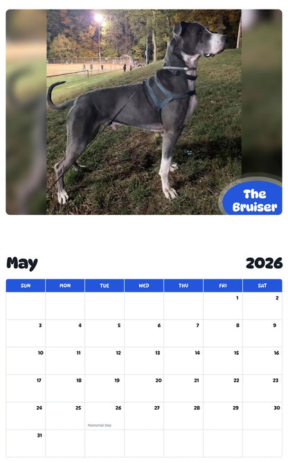 2026 - 2027 The Bruiser - Pawidols Pet Calendar