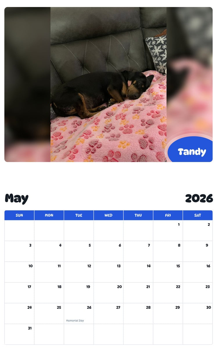 2026 - 2027 Tandy - Pawidols Pet Calendar