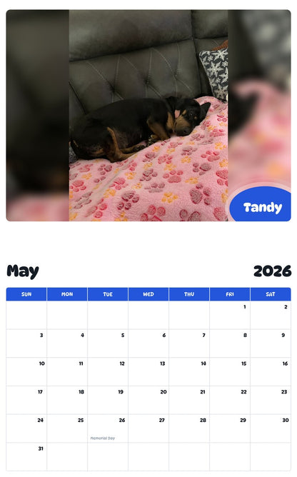 2026 - 2027 Tandy - Pawidols Pet Calendar