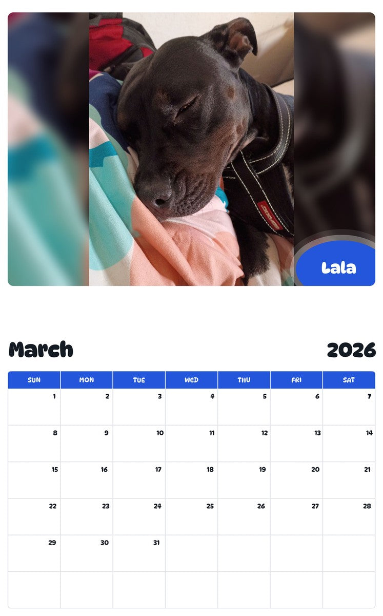 November 2025 - October 2026 Lala - Pawidols Pet Calendar