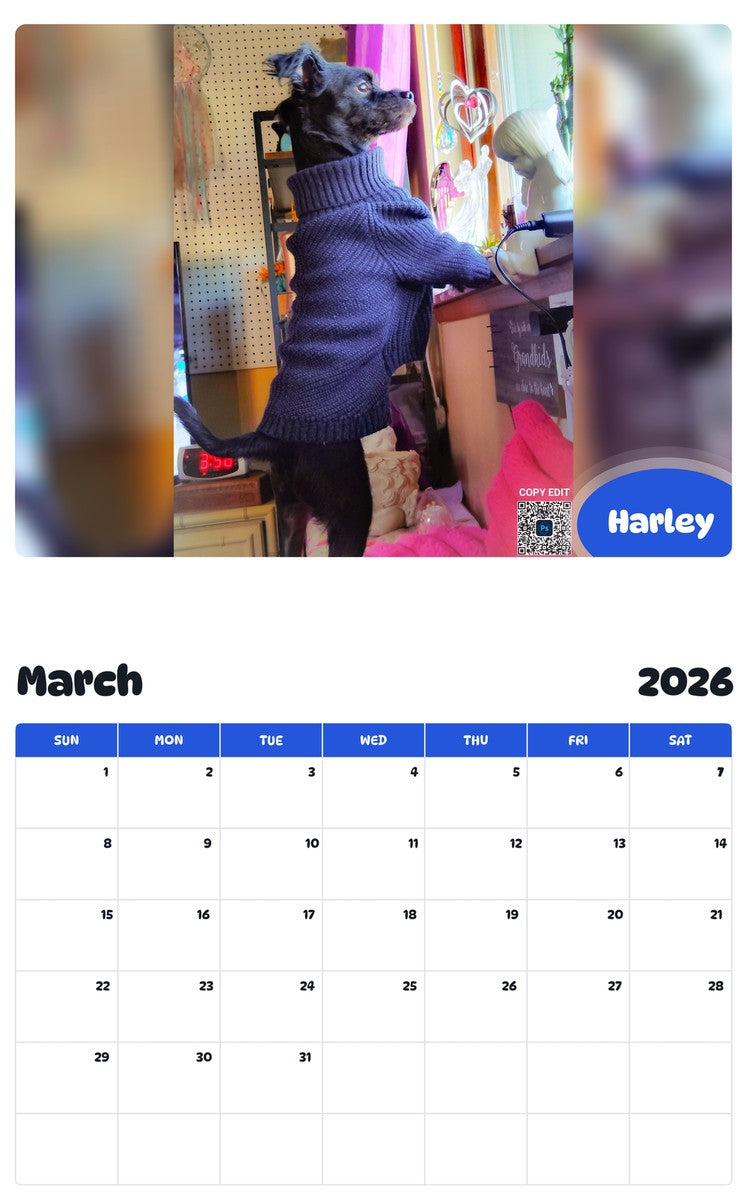 November 2025 - October 2026 Harley - Pawidols Pet Calendar
