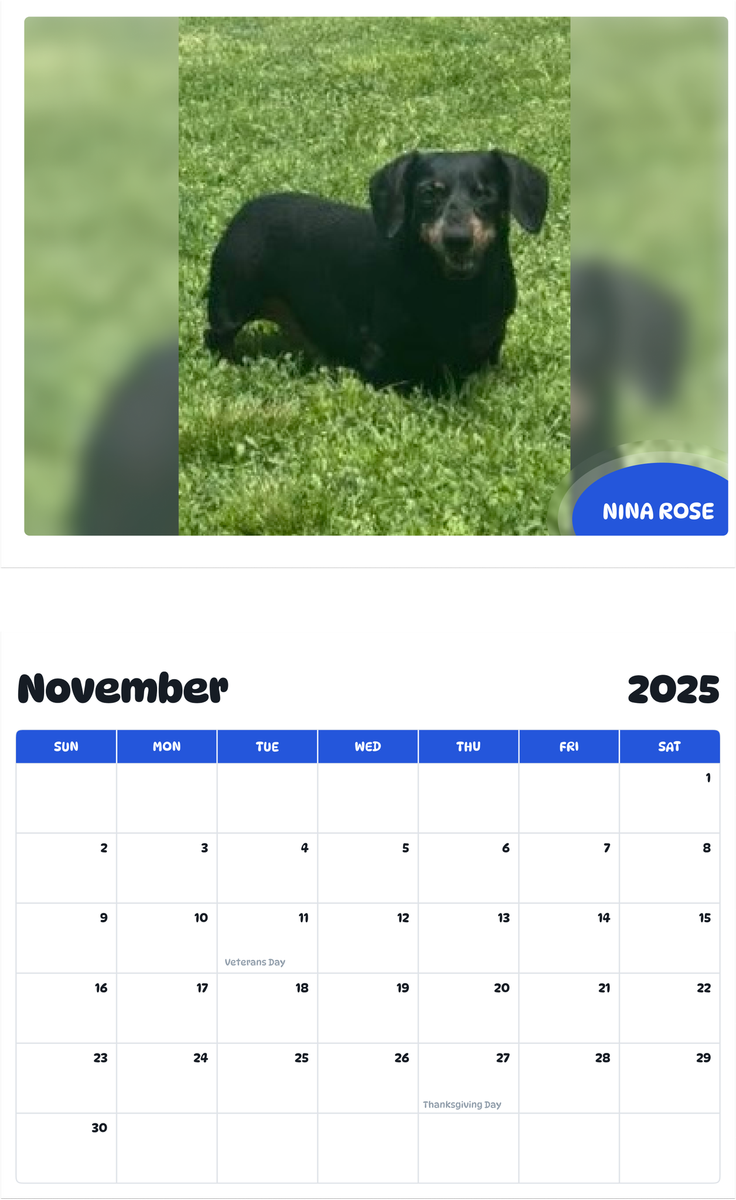 July 2025 - June 2026 Nina Rose - Pawidols Pet Calendar